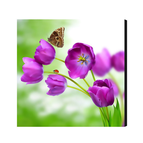 null