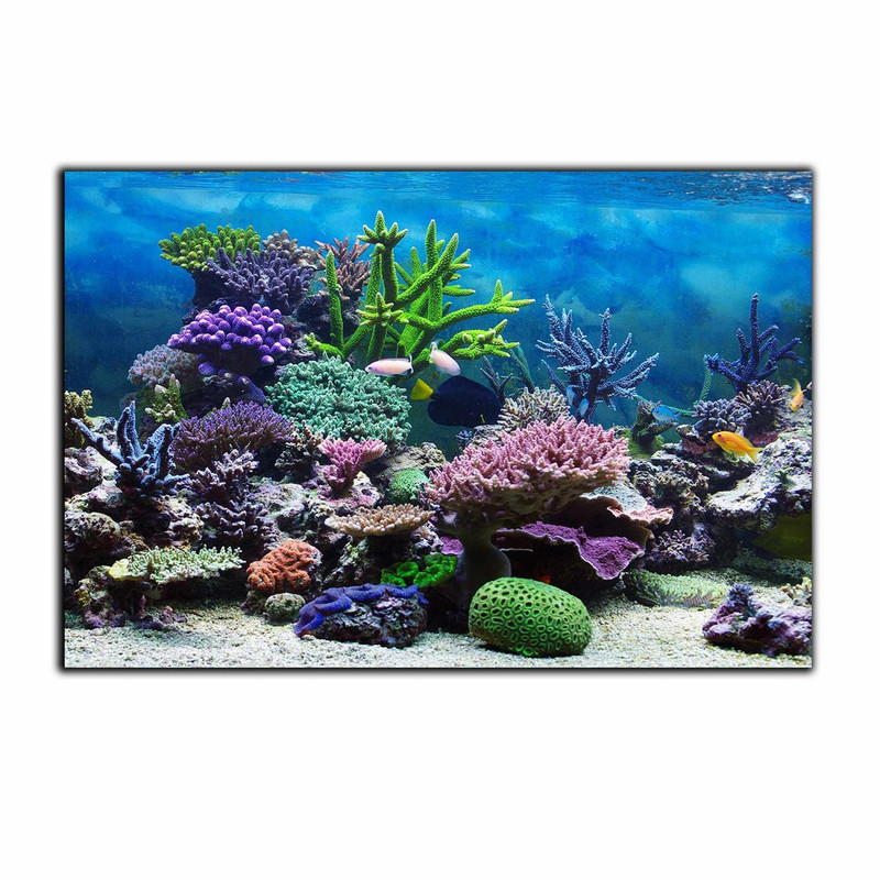 تابلو شاسی دنیای قاب طرح اقیانوس اسفنج دریایی مدل SH-7492