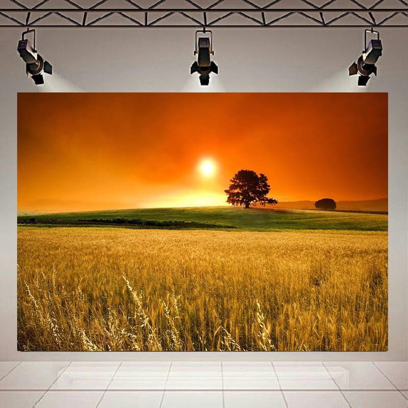 تابلو شاسی طرح طبیعت مدل  مزرعه گندم و غروب کد AR2628