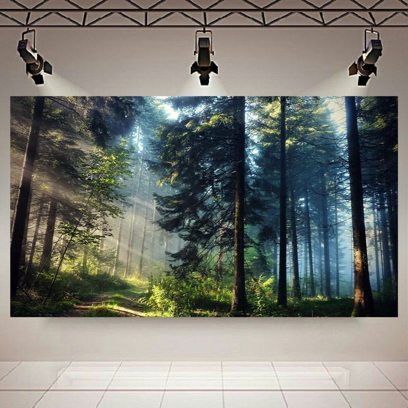تابلو شاسی طرح طبیعت مدل  نمای جنگل کد AR8920