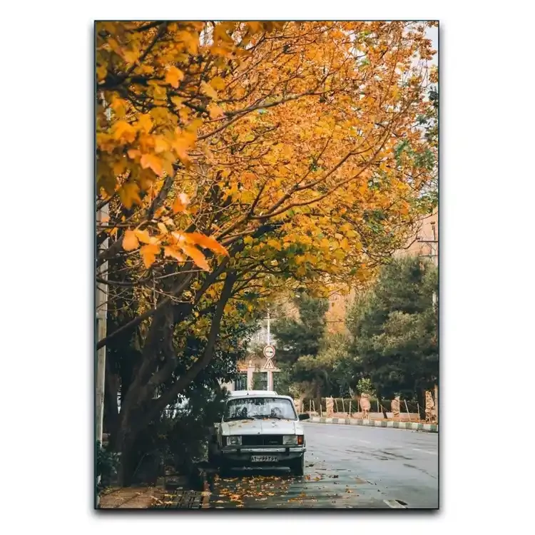 تابلوشاسی دنیای قاب مدل کلاسیک پاییز تهران