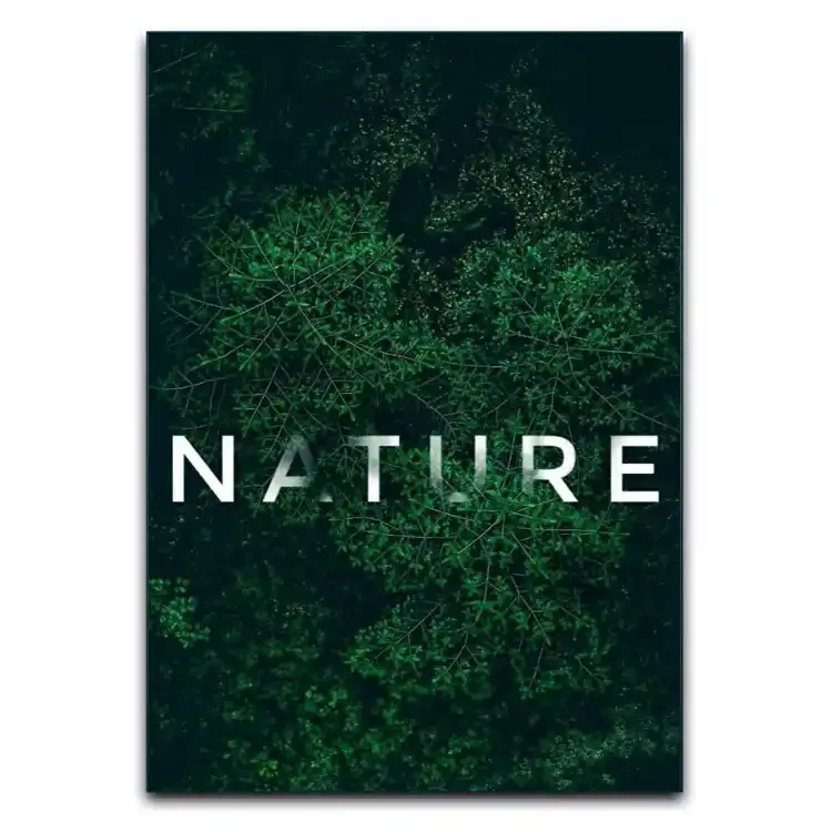 تابلوشاسی دنیای قاب مدل طبیعت Natural