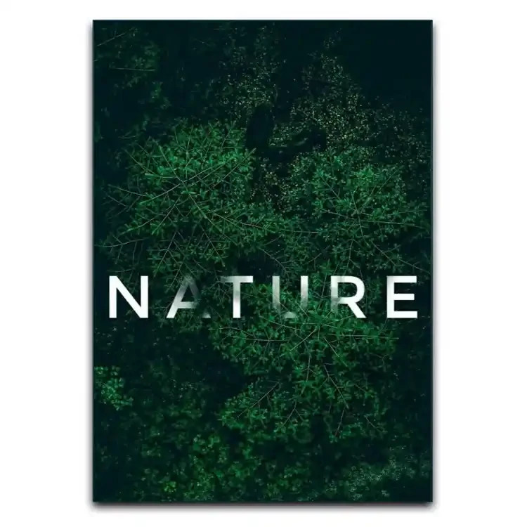 تابلوشاسی دنیای قاب مدل طبیعت Natural
