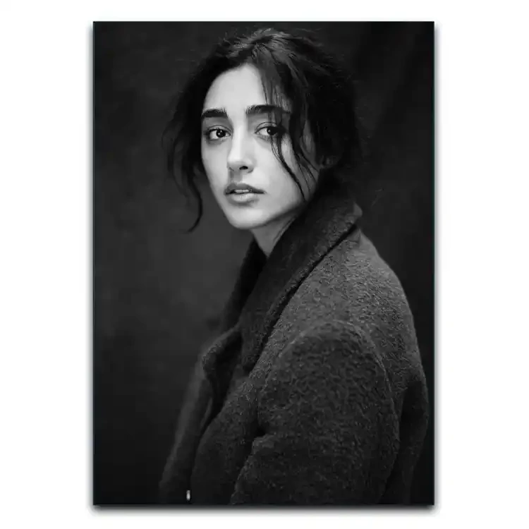 تابلوشاسی دنیای قاب مدل گلشیفته فراهانی
