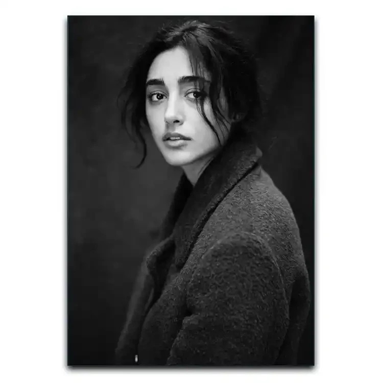 تابلوشاسی دنیای قاب مدل گلشیفته فراهانی