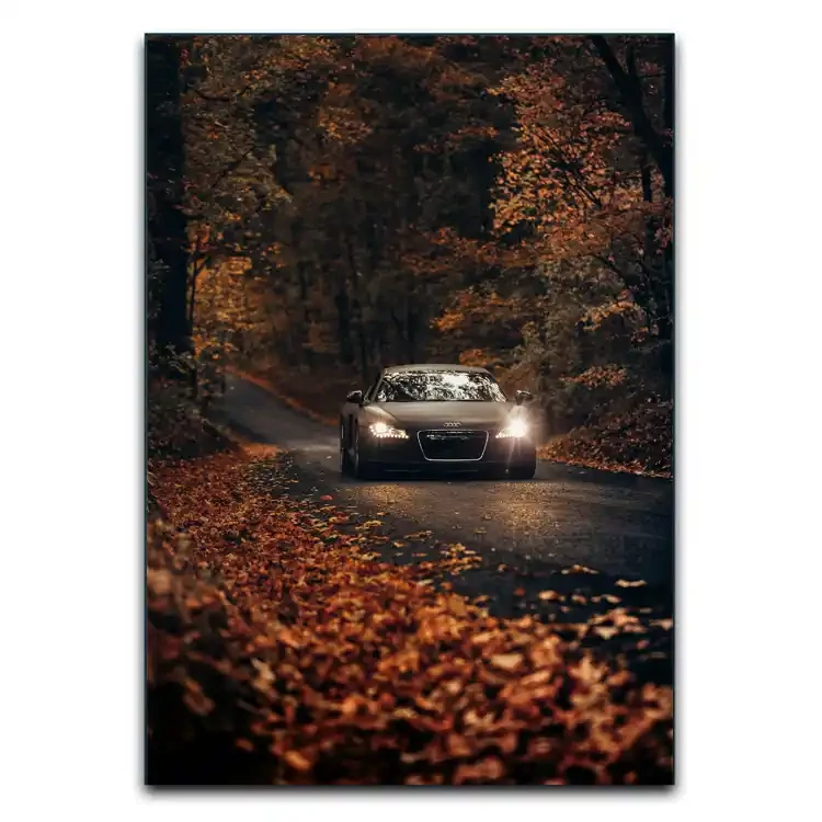 تابلوشاسی دنیای قاب مدل ماشین آئودی Audi