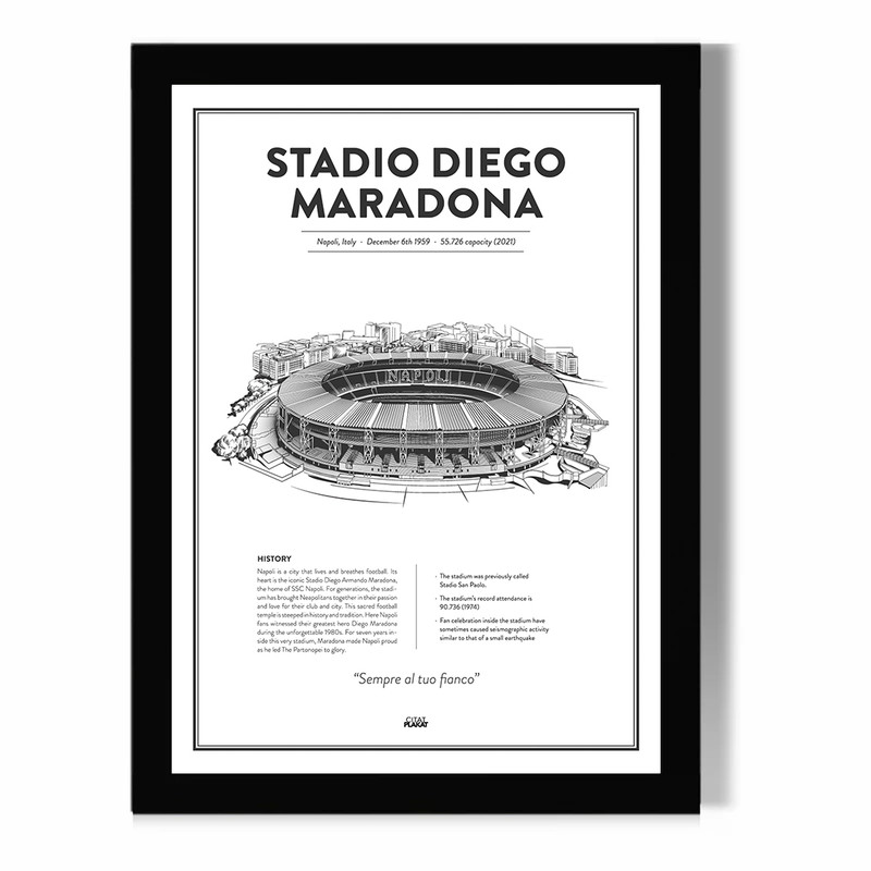 تابلو مدل دیواری طرح استادیوم دیگو مارادونا ناپولی Stadio Diego Maradona کد FD042