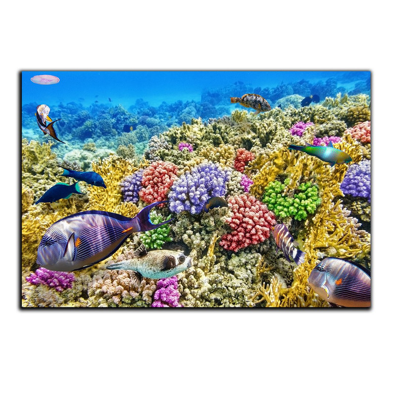 تابلو شاسی دنیای قاب طرح طبیعت و اقیانوس مدل SH-S1290