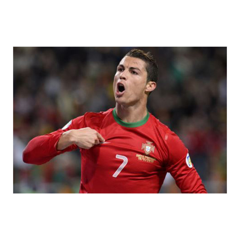 تابلو شاسی مدل رونالدو کد T31