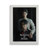 تابلو کی دراما طرح alchemy of souls کد PF-12049
