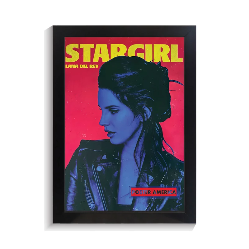 تابلو خواننده طرح Stargirl لانا دل ری کد PF-20421