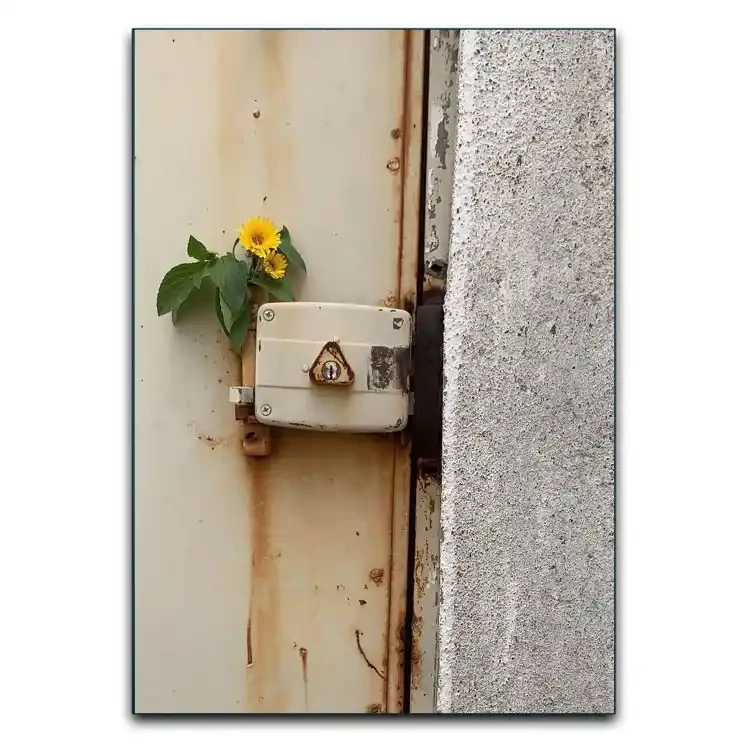 تابلوشاسی دنیای قاب مدل گل با حس آرامش