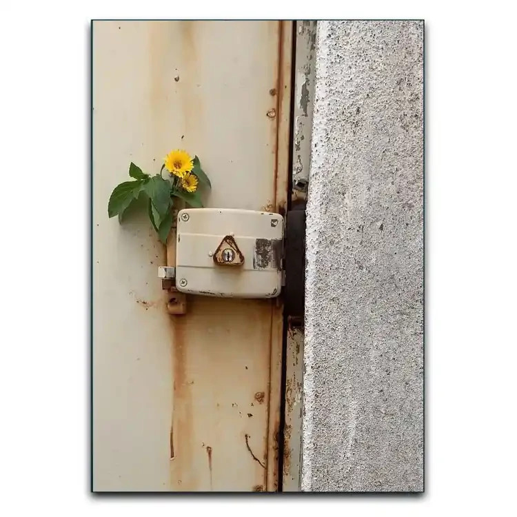 تابلوشاسی دنیای قاب مدل گل با حس آرامش