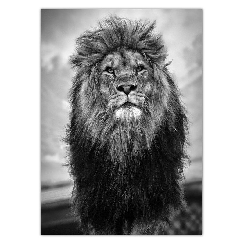 تابلو شاسی ونسونی طرح Stand Of Lion سایز 50 × 70