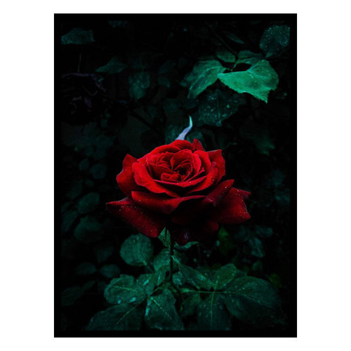 null
